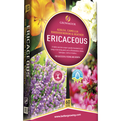 e61a2c1970bc0dfdeee0cefa1fb9926c6a350e7d e61a2c1970bc0dfdeee0cefa1fb9926c6a350e7d