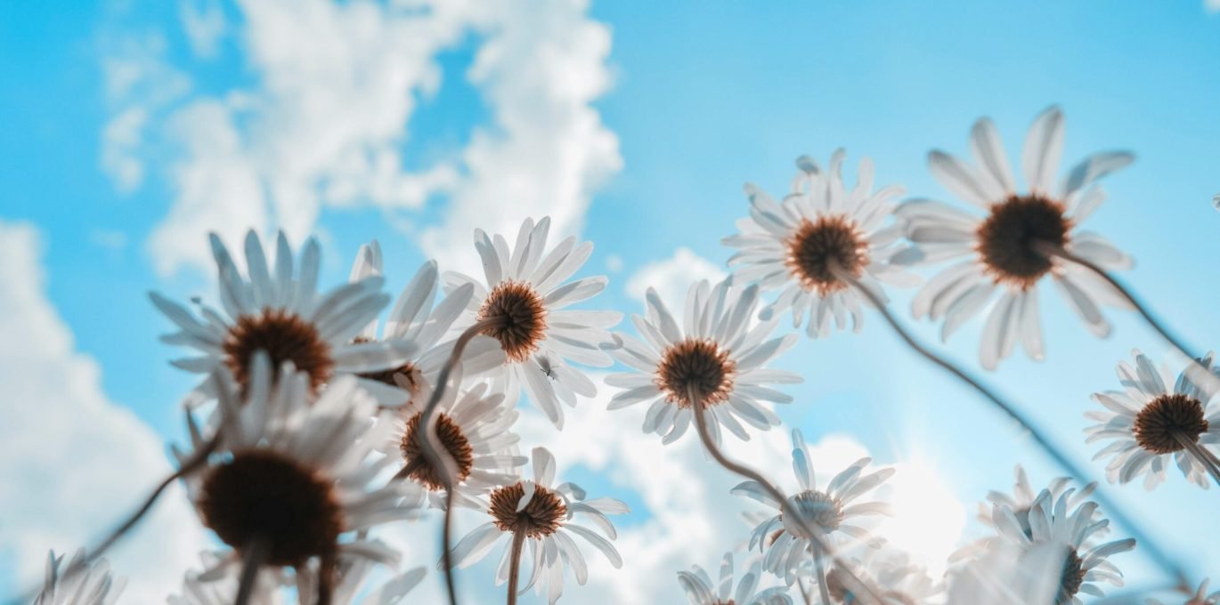 pexels-aaronburden-33020868